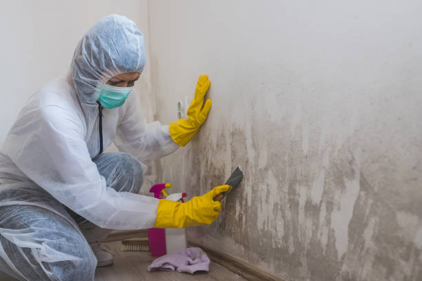 Crawl Space Mold Removal in Kaloko, HI