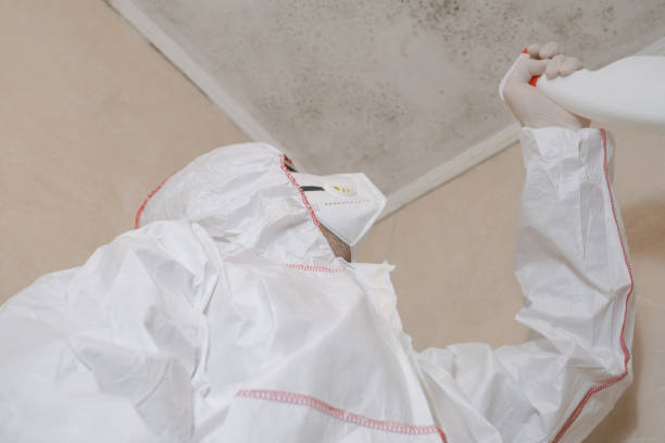 Best Certified Mold Removal  in Kaloko, HI